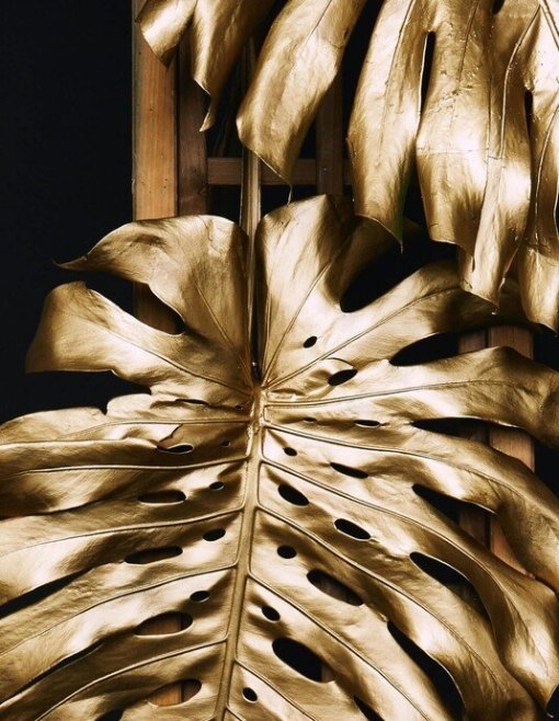 Goldene Monstera-Blätter auf einer Holzleiter vor dunklem Hintergrund.