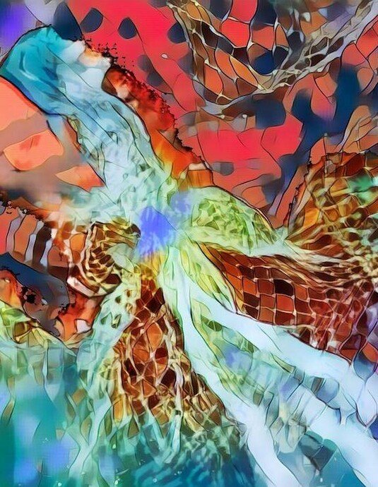  Copyleft - Geschichte, Bedeutung und Zukunft