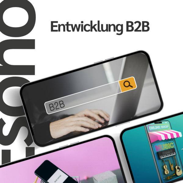 Smartphones mit Suchleiste "B2B" und Händen auf Tastatur, Musik- und Online-Shop-Grafiken. Text: "Entwicklung B2B".