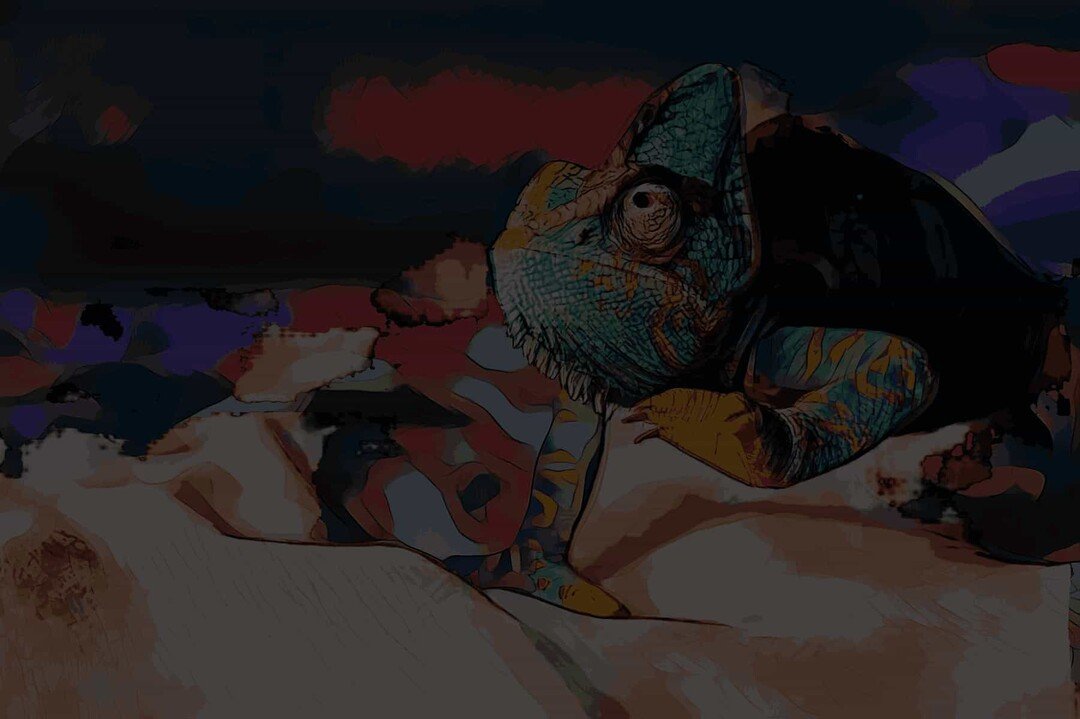 Ein Chamäleon mit farbenfroher Haut sitzt auf einem Ast vor abstraktem Hintergrund.