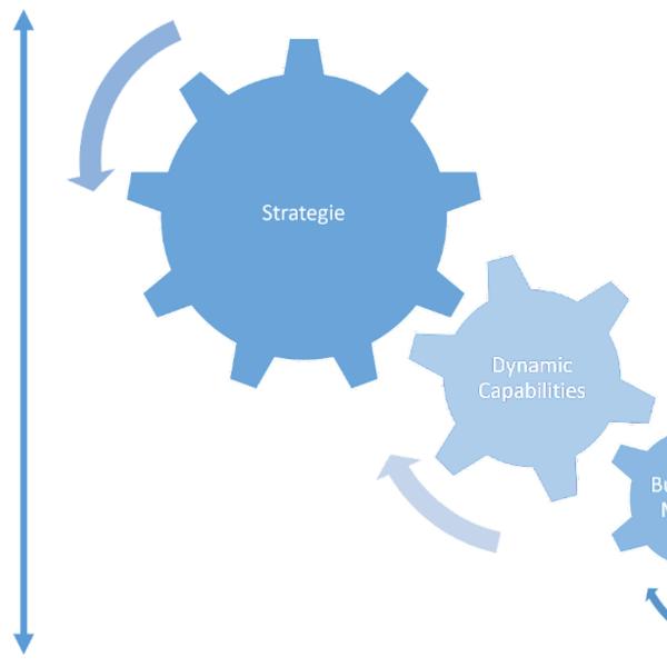 Diagramm zeigt Zahnräder für Strategie, Dynamic Capabilities und Geschäftsmodell mit Pfeilen für Perspektivenwechsel.