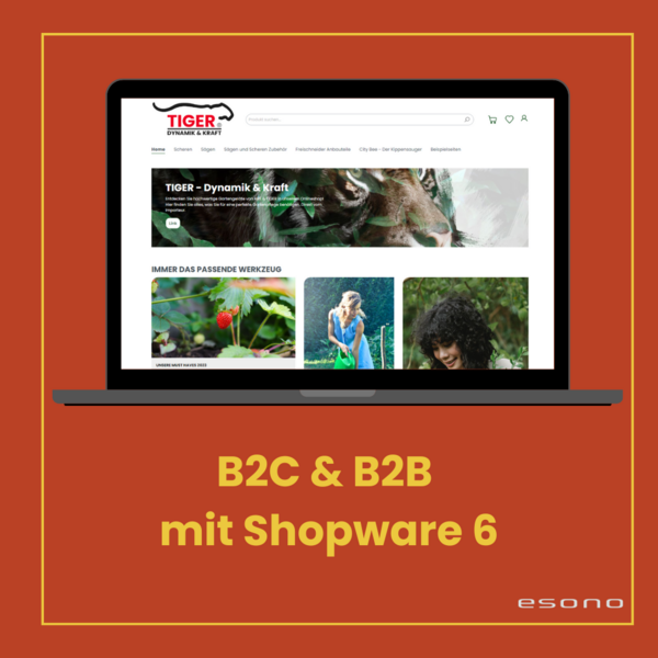 Laptop mit geöffneter Shopware 6 Website, Text: "B2C & B2B mit Shopware 6", esono-Logo unten rechts.