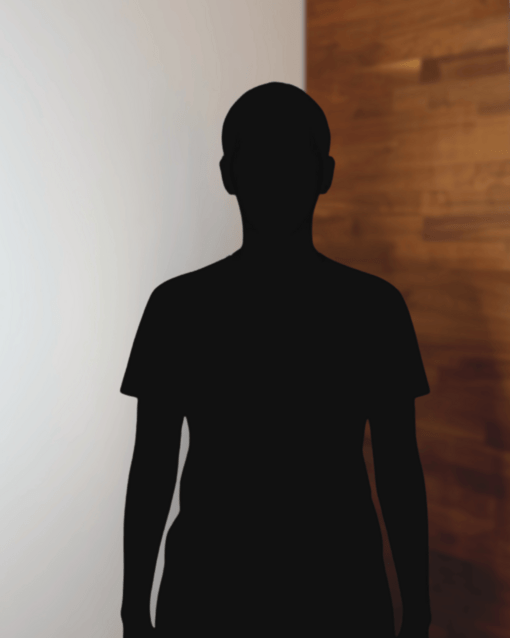 Silhouette einer Person vor zweigeteilter Wand, links hell, rechts dunkelholzfarben.