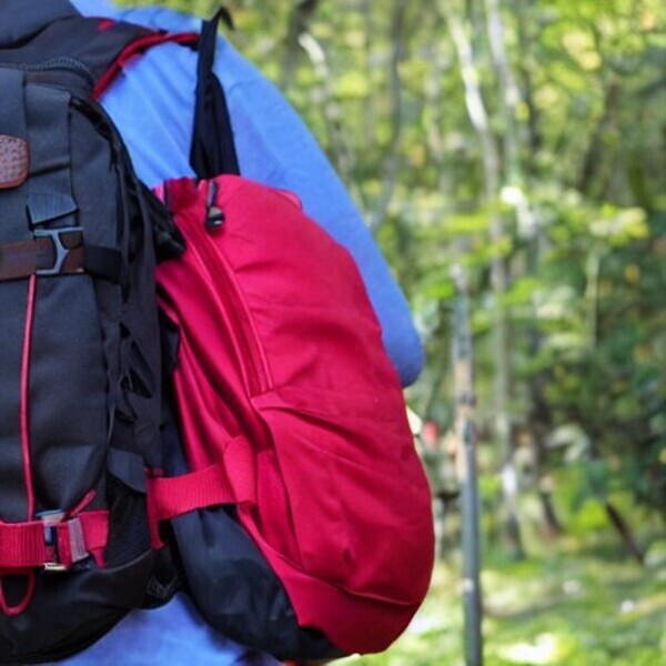 Nahaufnahme eines Wanderers mit blauem Hemd und zwei Rucksäcken im Wald, ein schwarzer und ein roter Rucksack.