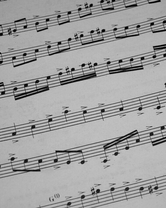 Composer 2.7 und CVE-2024-24821